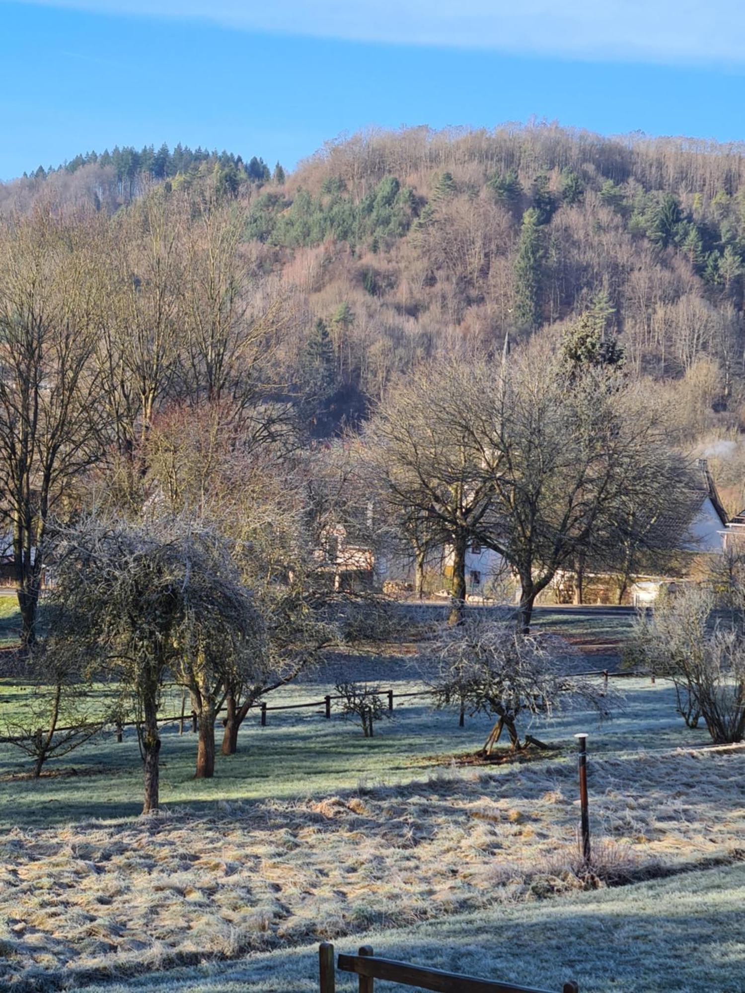 Burgblick
